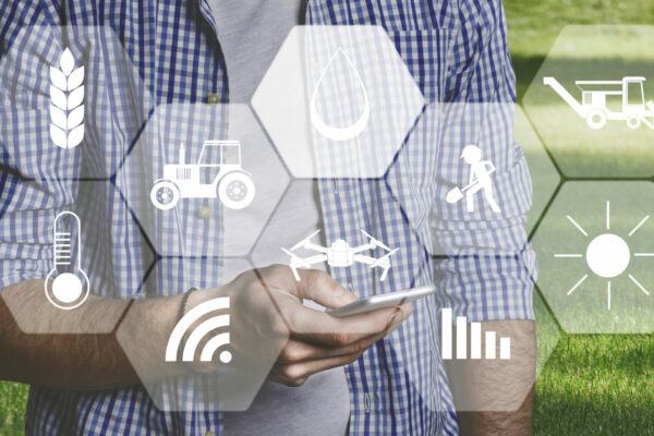 Using modern technologies in agriculture. Man farmer with digital tablet in field using apps and internet of things in production and agricultural research